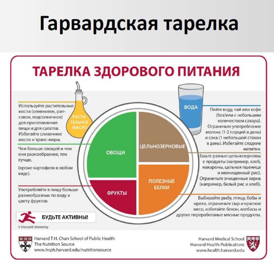 Гарвардская тарелка.jpg
