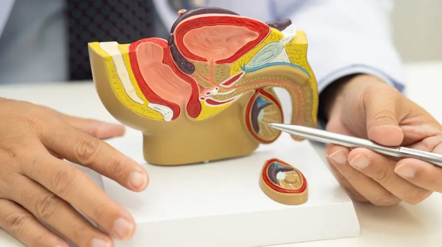 Обследование